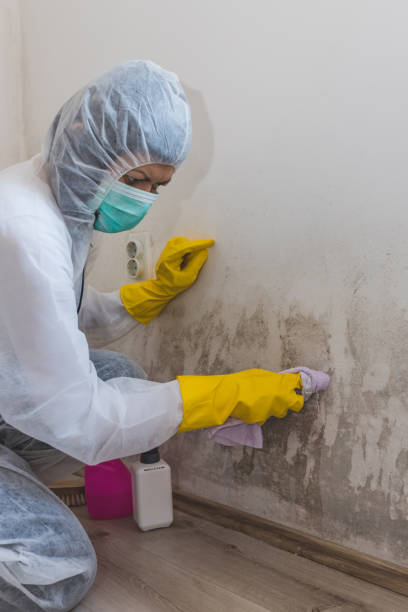Best HVAC Mold Inspection and Cleaning  in Anchorage, AK