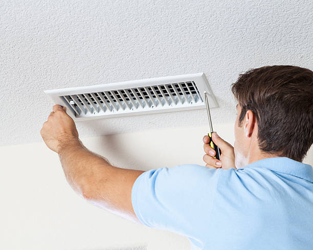 Best Mold Remediation for Vacation Homes  in Anchorage, AK